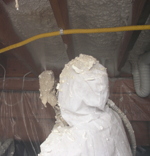 Cheyenne WY crawl space insulation
