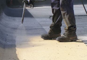 Coating systems over Cheyenne spray foam roof systems